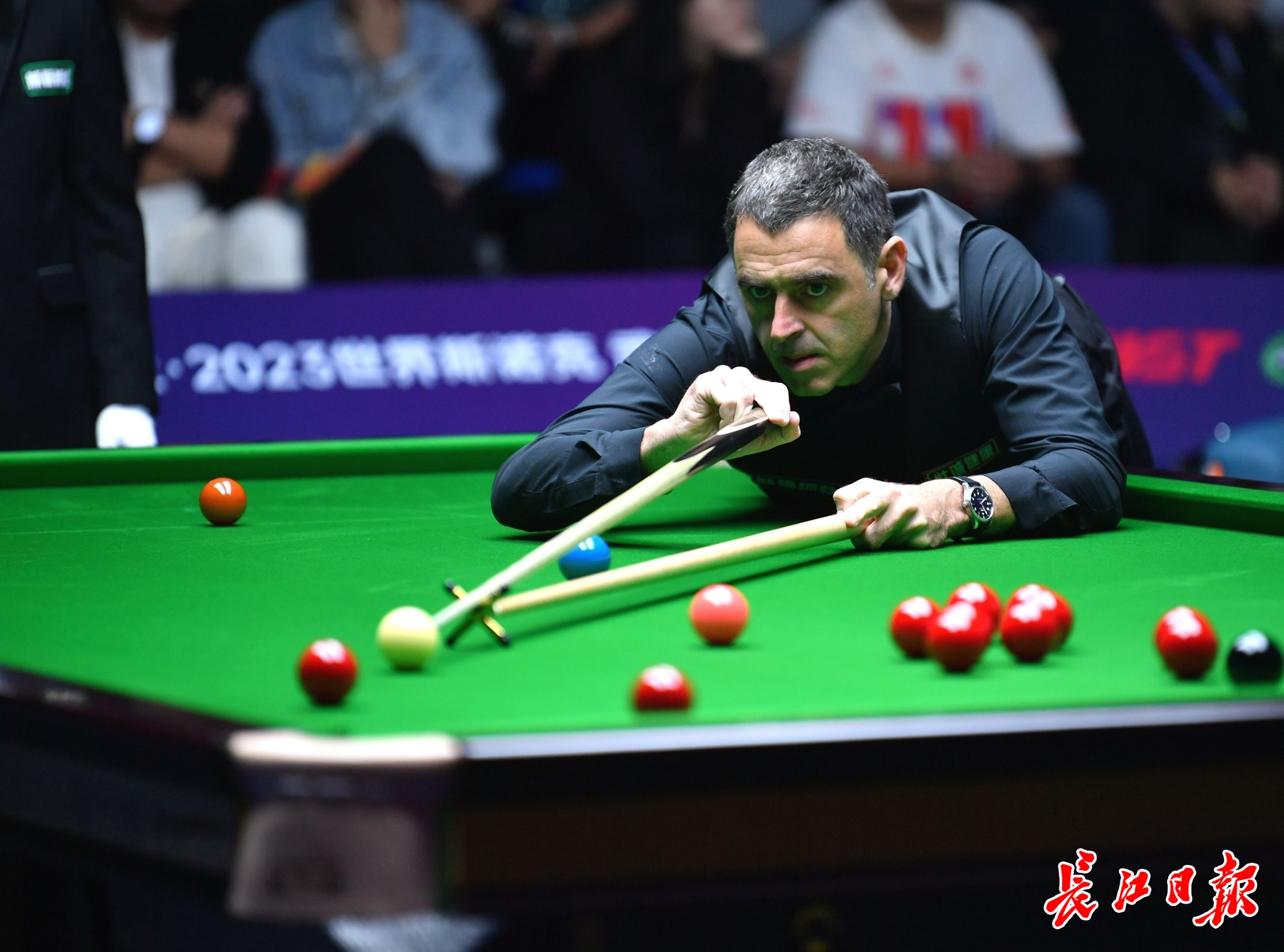 该回合展现 该回合展现